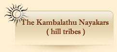 The Kambalathu Nayakars